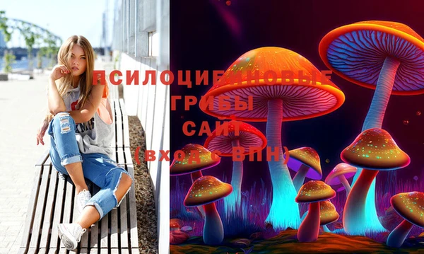 ГАЛЛЮЦИНОГЕННЫЕ ГРИБЫ Алексин