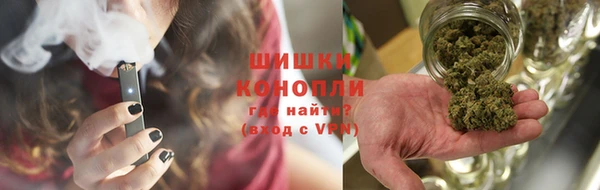 ГАЛЛЮЦИНОГЕННЫЕ ГРИБЫ Алексин
