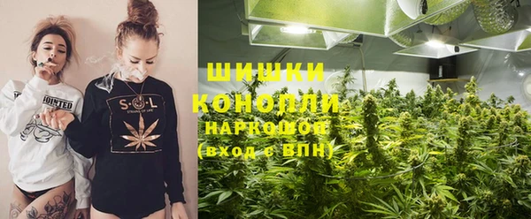 ГАЛЛЮЦИНОГЕННЫЕ ГРИБЫ Алексин