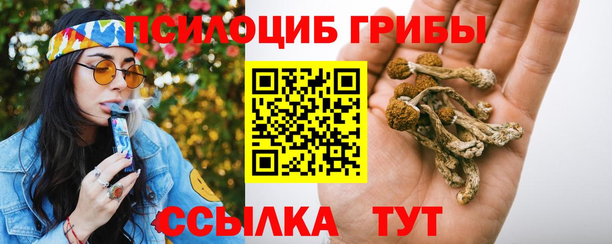 Псилоцибиновые грибы MAGIC MUSHROOMS Асино
