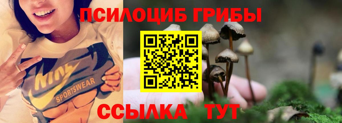 Псилоцибиновые грибы MAGIC MUSHROOMS  Вход с VPN  Галлюциногенные грибы мухоморы  Асино 