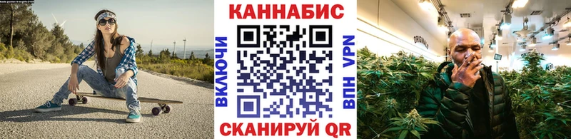 гидра tor  Асино  Канабис семена 